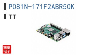 P081N-171F2ABR50K