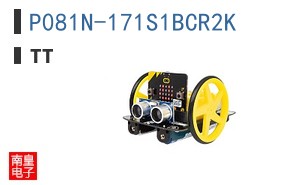 P081N-171S1BCR2K