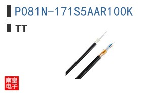 P081N-171S5AAR100K