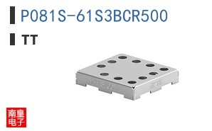 P081S-61S3BCR500