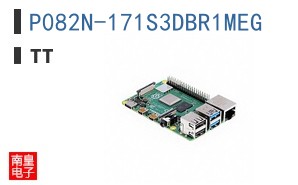 P082N-171S3DBR1MEG