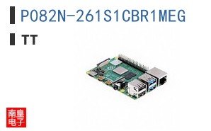 P082N-261S1CBR1MEG