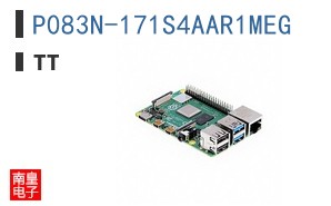 P083N-171S4AAR1MEG
