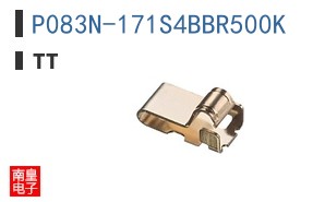 P083N-171S4BBR500K