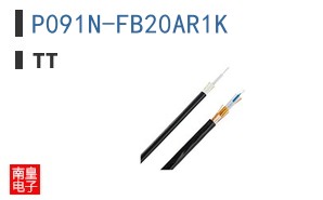 P091N-FB20AR1K