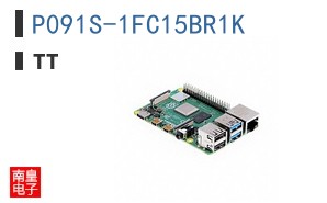 P091S-1FC15BR1K