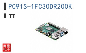 P091S-1FC30DR200K
