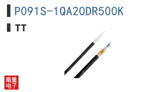 P091S-1QA20DR500K
