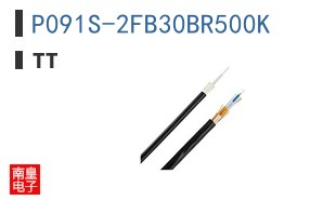 P091S-2FB30BR500K