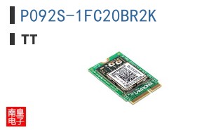 P092S-1FC20BR2K