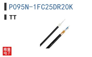 P095N-1FC25DR20K