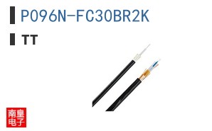 P096N-FC30BR2K