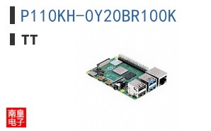 P110KH-0Y20BR100K