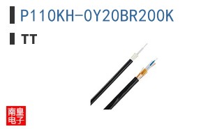 P110KH-0Y20BR200K