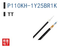 P110KH-1Y25BR1K