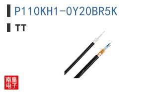 P110KH1-0Y20BR5K