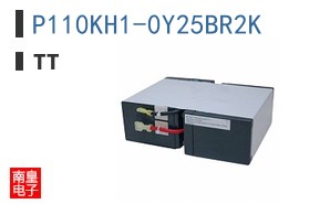 P110KH1-0Y25BR2K
