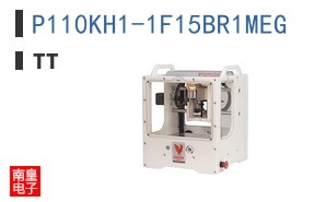 P110KH1-1F15BR1MEG