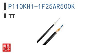 P110KH1-1F25AR500K