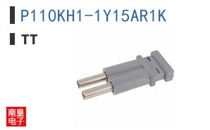 P110KH1-1Y15AR1K