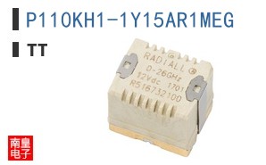 P110KH1-1Y15AR1MEG