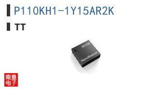 P110KH1-1Y15AR2K