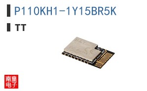 P110KH1-1Y15BR5K