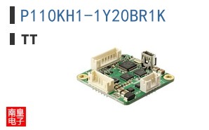 P110KH1-1Y20BR1K