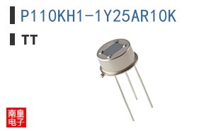 P110KH1-1Y25AR10K