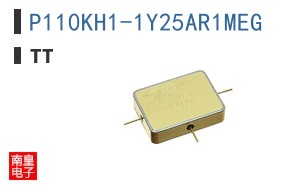 P110KH1-1Y25AR1MEG
