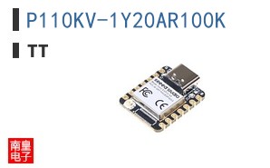 P110KV-1Y20AR100K