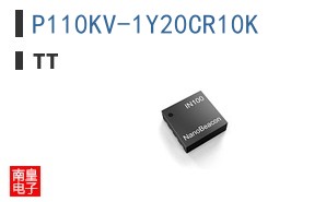 P110KV-1Y20CR10K