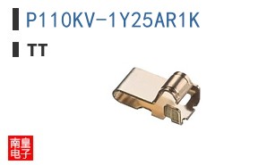P110KV-1Y25AR1K