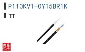 P110KV1-0Y15BR1K