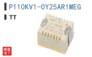 P110KV1-0Y25AR1MEG