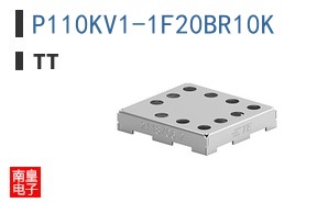 P110KV1-1F20BR10K