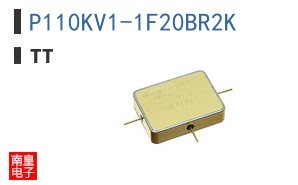 P110KV1-1F20BR2K