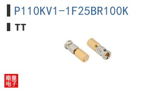 P110KV1-1F25BR100K