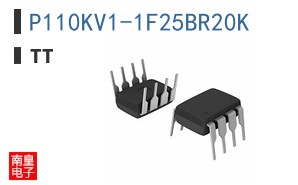 P110KV1-1F25BR20K