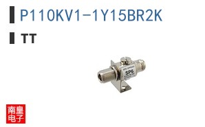P110KV1-1Y15BR2K