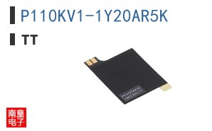 P110KV1-1Y20AR5K