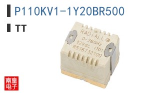 P110KV1-1Y20BR500