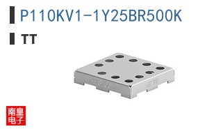 P110KV1-1Y25BR500K