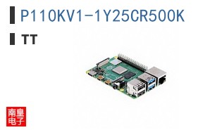 P110KV1-1Y25CR500K