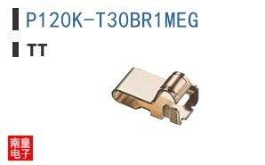 P120K-T30BR1MEG