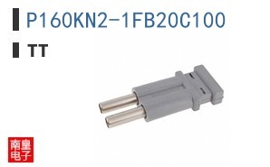 P160KN2-1FB20C100