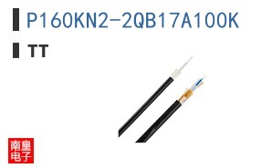 P160KN2-2QB17A100K