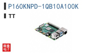 P160KNPD-1QB10A100K