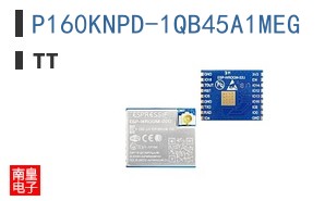 P160KNPD-1QB45A1MEG