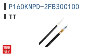 P160KNPD-2FB30C100